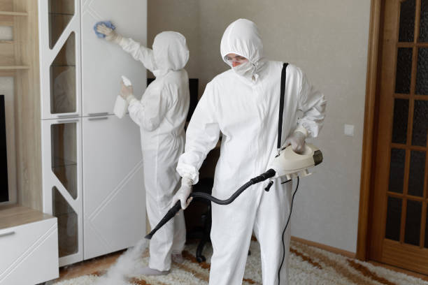 Mold Removal Process in Waipio, HI